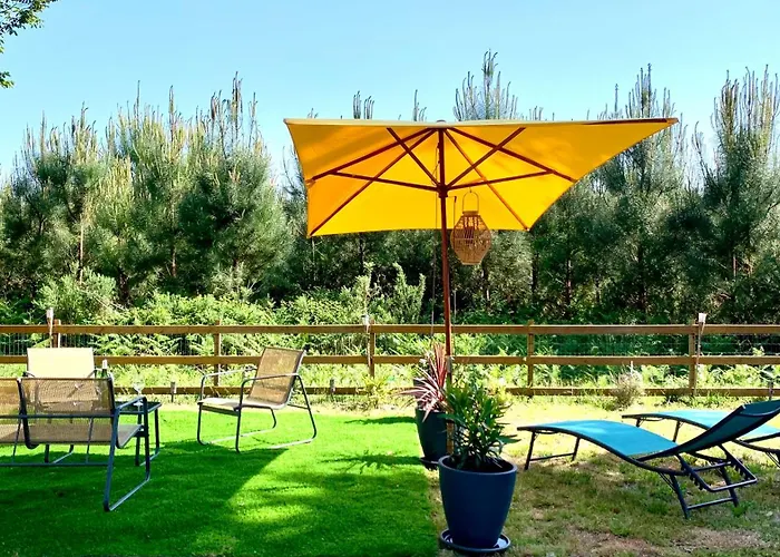 Ocelandes 39 * Saint-Julien-en-Born